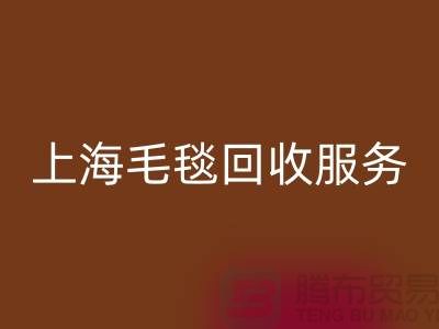 **什么类型的毛毯可以AK官方网页版？**上海毛毯AK官方网页版服务热线