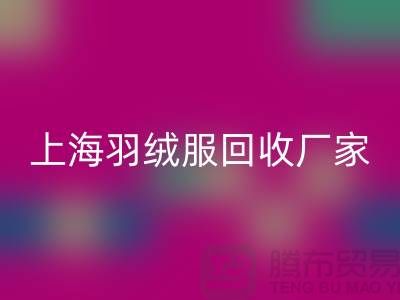 羽绒服AK官方网页版：环保与经济的双重考量，上海厂家引领行业新风尚