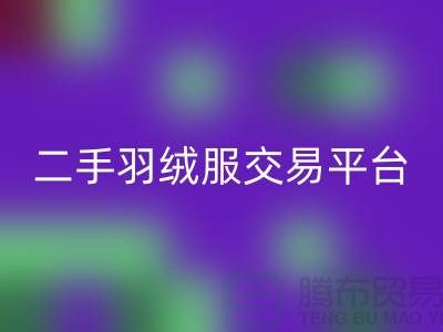 波司登羽绒服AK官方网页版平台，二手羽绒服环保与时尚的完美结合