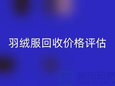 二手蒙口羽绒服AK官方网页版平台：价格评估、上门议价与现金收货服务介绍