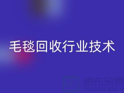 毛毯AK官方网页版行业技术创新推动发展,政策支持力度加大