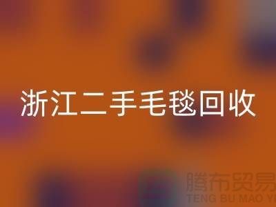 二手毛毯AK官方网页版，旧物新生的【浙江，上海，江苏】绿色的库存之旅