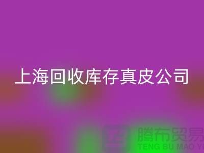 环保与创新：AK官方网页版库存真皮和羊皮的重要性_上海腾布贸易ShTengBu.com