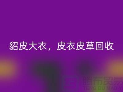 貂皮大衣AK官方网页版，皮衣皮草AK官方网页版，高档大衣AK官方网页版-上海库存服装AK官方网页版公司