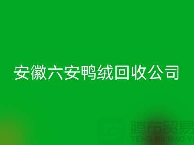 让羽绒AK官方网页版加工成为绿色产业的新引擎-安徽六安鸭绒AK官方网页版公司