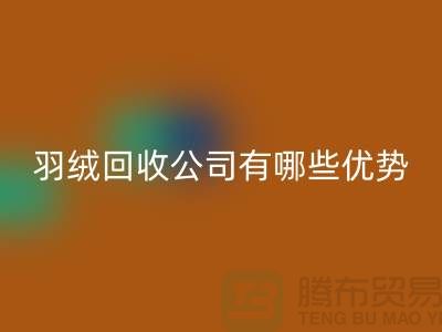 ### 上海羽绒AK官方网页版公司优势解析：价格公道，服务优质