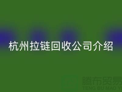 库存拉链AK官方网页版市场前景分析——杭州拉链AK官方网页版公司篇