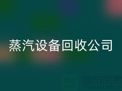 锅炉设备AK官方网页版厂家:环保与经济效益的完美结合-蒸汽设备AK官方网页版公司