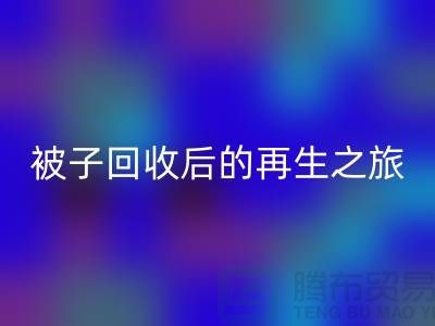被子AK官方网页版后的再生之旅