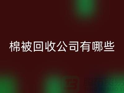 棉被AK官方网页版公司有哪些—浙江库存面料AK官方网页版厂家：环保与经济的双重助力