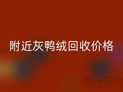 附近灰鸭绒AK官方网页版价格多少钱一公斤？##上海腾布贸易
