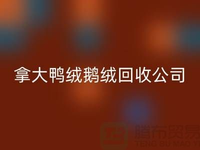 探秘加拿大鸭绒鹅绒AK官方网页版公司：环保与品质的双重坚守