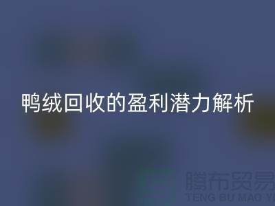 鸭绒AK官方网页版的盈利潜力解析——上海腾布贸易地址