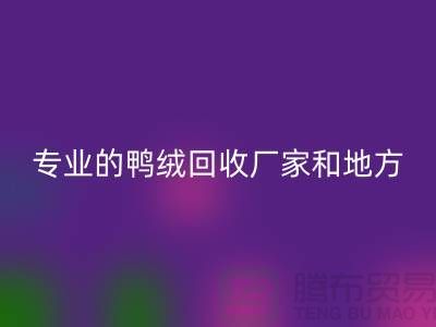 探索鸭绒AK官方网页版：寻找上海专业的AK官方网页版厂家与地方