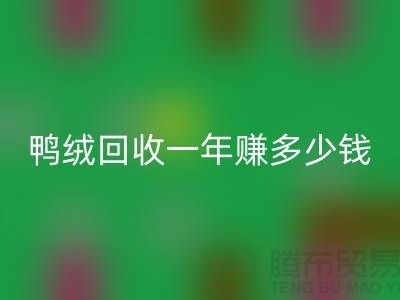 鸭绒AK官方网页版一年挣多少钱？揭秘利润与环保的双重收益