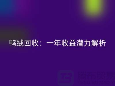鸭绒AK官方网页版：一年收益潜力解析@上海腾布贸易