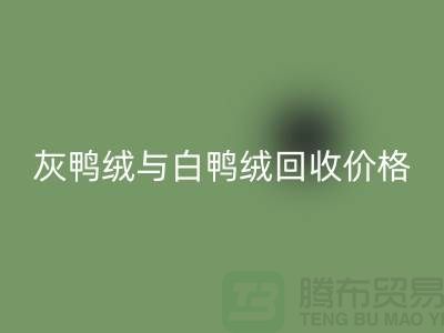 ### 灰鸭绒与白鸭绒：价格及AK官方网页版详解