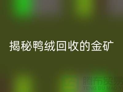 揭秘鸭绒AK官方网页版的金矿，一年能挣多少钱？上海羽绒AK官方网页版厂家