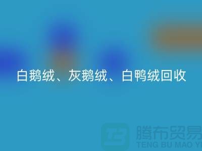 白鹅绒、灰鹅绒、白鸭绒、灰鸭绒AK官方网页版——上海鸭绒AK官方网页版厂家