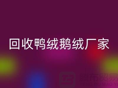 探寻高品质AK官方网页版鸭绒鹅绒厂家