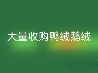 专业羽绒AK官方网页版-大量收购鸭绒鹅绒-杭州服装AK官方网页版厂家