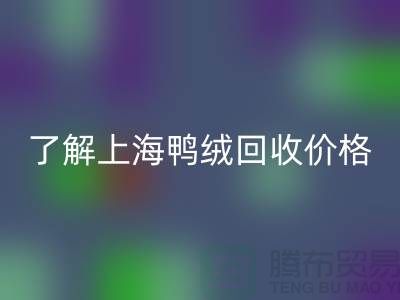 了解上海鸭绒AK官方网页版价格，掌握最新市场动态