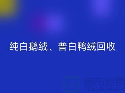 纯白普白鸭绒AK官方网页版-纯白普白鹅绒AK官方网页版-杭州羽绒AK官方网页版厂家