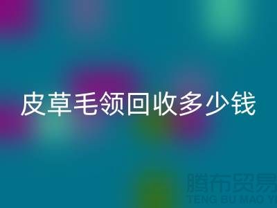 真皮皮衣皮草毛领AK官方网页版多少钱一个？-上海腾布贸易