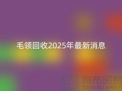## 毛领AK官方网页版2025年最新消息