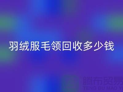 羽绒服毛领AK官方网页版多少钱一件