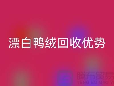 ### 纯白90%鹅绒、漂白鸭绒AK官方网页版优势与南通鸭绒收购公司