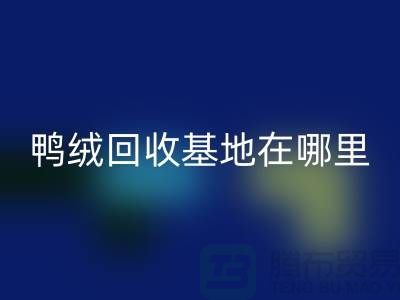 哪里有AK官方网页版鸭绒的，鸭绒AK官方网页版基地在哪里@安徽羽绒AK官方网页版厂家