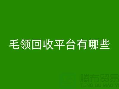 毛领AK官方网页版平台有哪些公司或者品牌