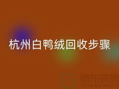 ### 纯白 70 绒、80 绒、90 鸭绒AK官方网页版步骤@杭州羽绒AK官方网页版厂家