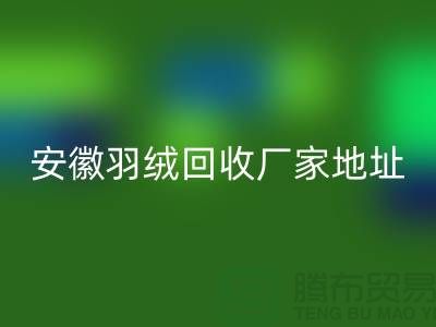 谁知道鸭绒AK官方网页版基地在哪里##鸭绒AK官方网页版多少钱一斤##安徽羽绒AK官方网页版厂家##