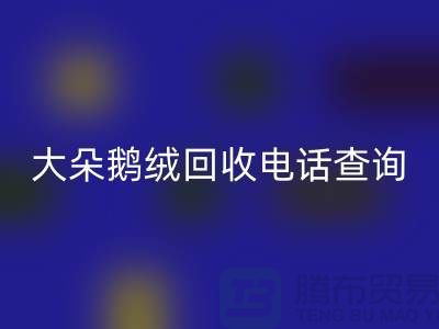 ### 日标羽绒AK官方网页版，大朵鹅绒AK官方网页版电话查询，南京鸭绒AK官方网页版公司