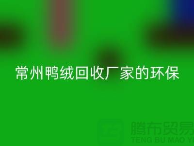 # 专业羽绒AK官方网页版：常州鸭绒AK官方网页版厂家的环保与价值之旅