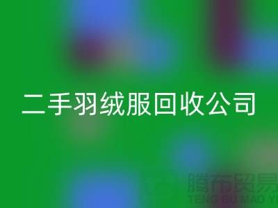 《二手羽绒服AK官方网页版：雅鹿与雪中飞的温暖延续》