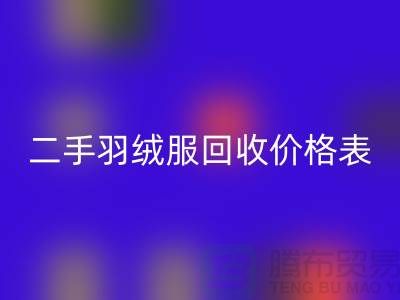 二手羽绒服AK官方网页版价格表最新：环保与实惠的双赢选择