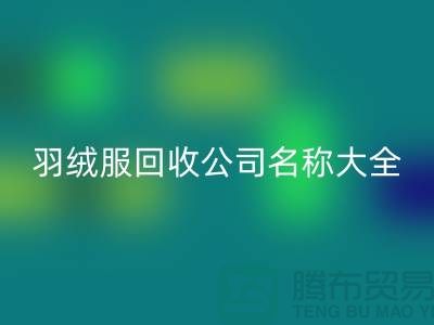 # 二手羽绒服AK官方网页版公司名称大全：环保与时尚的新选择