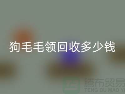 狗毛毛领AK官方网页版多少钱一条