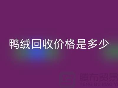 鸭绒AK官方网页版价格是多少？详解鸭绒市场行情-鸭绒专业AK官方网页版厂家