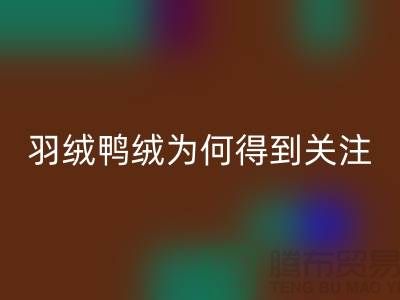 羽绒鸭绒AK官方网页版公司为何得到所有人关注_AK官方网页版