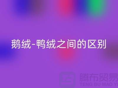 关于鹅绒-鸭绒之间的区别-鹅绒AK官方网页版-鸭绒AK官方网页版-羽绒AK官方网页版厂家