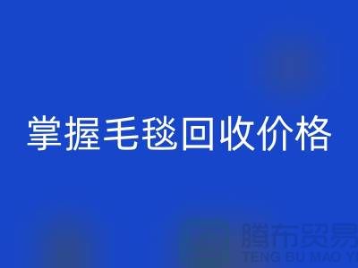 掌握毛毯AK官方网页版价格，让旧物焕发新生价值-南通家纺库存AK官方网页版厂家