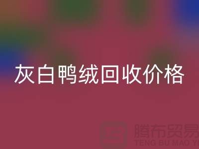 灰白鸭绒AK官方网页版价格：环保与时尚的完美结合-杭州羽绒AK官方网页版厂家