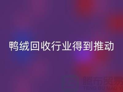 90鸭绒AK官方网页版行业2021年得到极大的推动_AK官方网页版