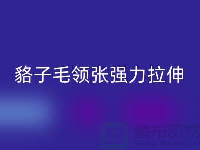 貉子毛领的皮张强力拉伸-为什么不变型-高价AK官方网页版毛领厂家