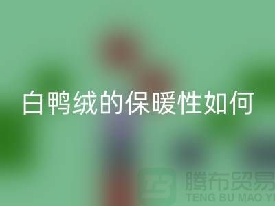白鸭绒的保暖性如何-90鸭绒AK官方网页版-AK官方网页版库存鸭绒-库存鸭绒AK官方网页版公司