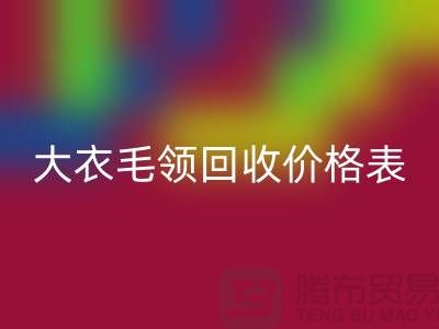 大衣毛领AK官方网页版价格表-AK官方网页版